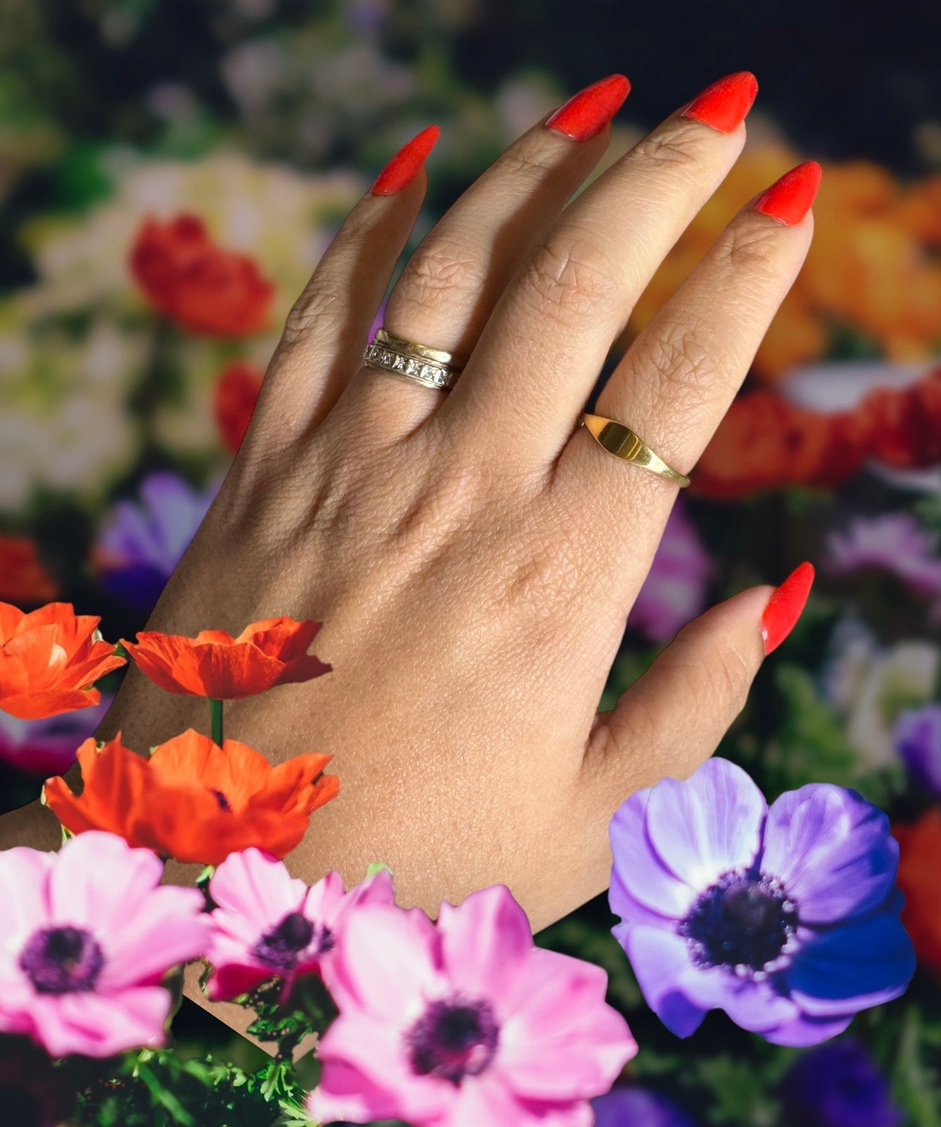 The Original Signet Ring