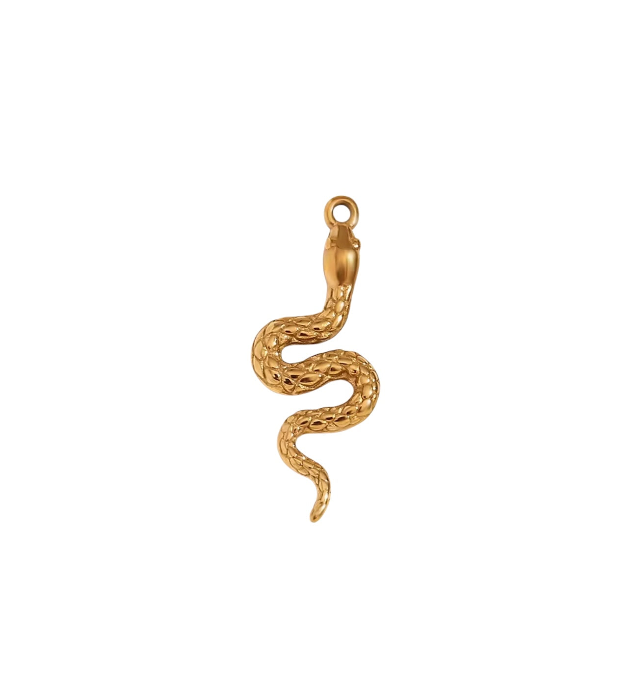 The Serpent Pendant