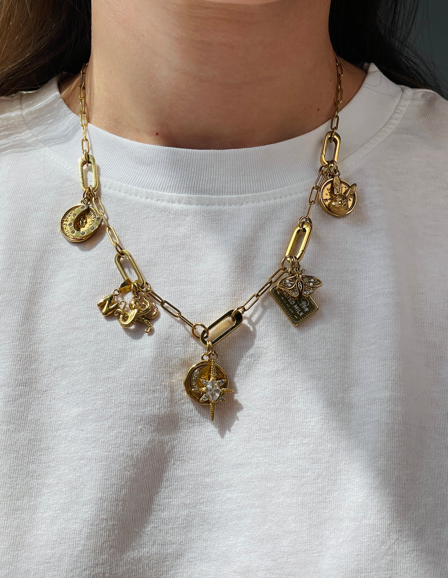 The Moth Charm