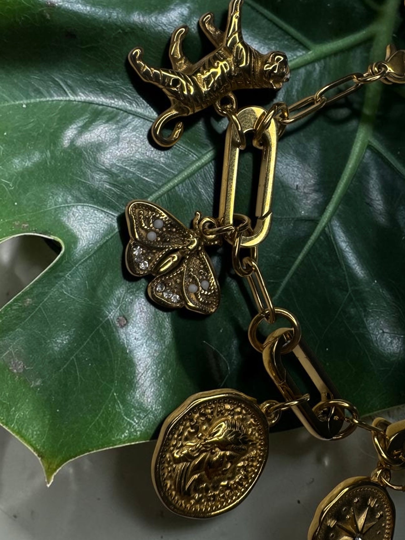The Moth Charm
