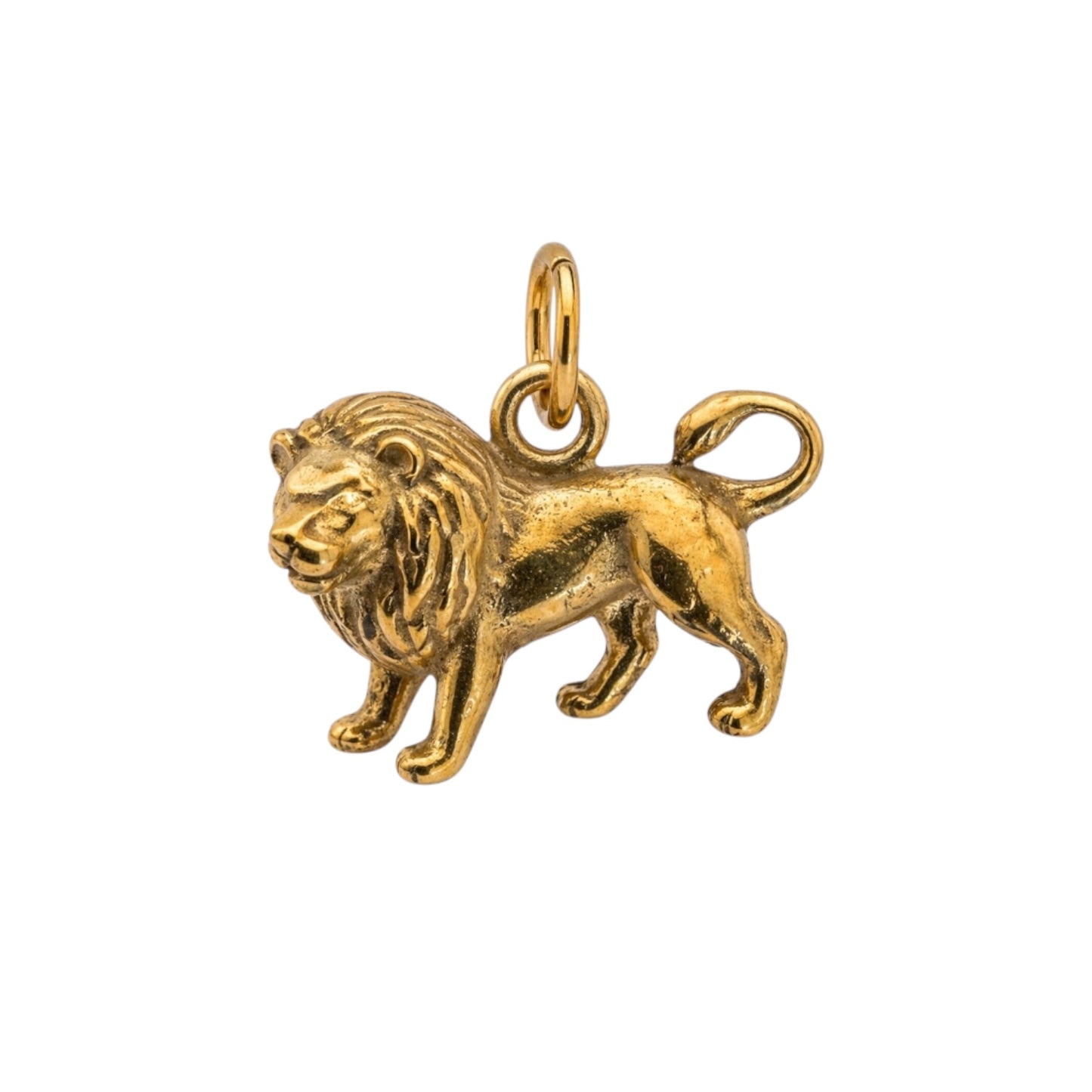 The Lion Charm