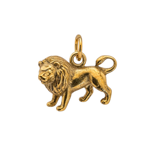 The Lion Charm