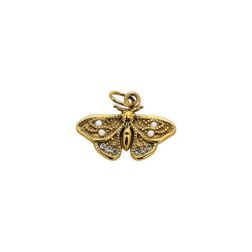 The Moth Charm