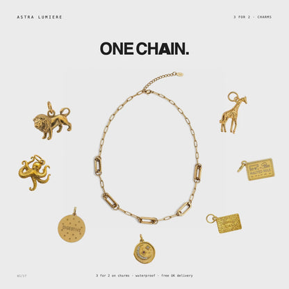 The Charm Necklace