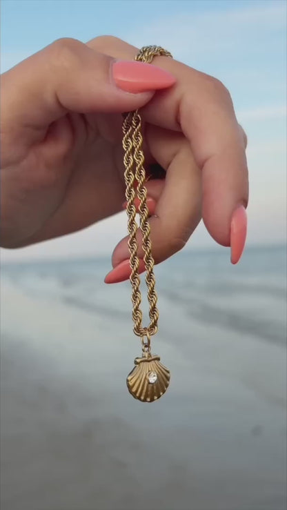 The Venus Shell Chain