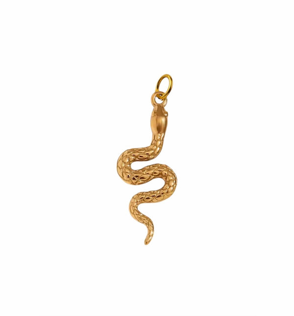 The Serpent Charm